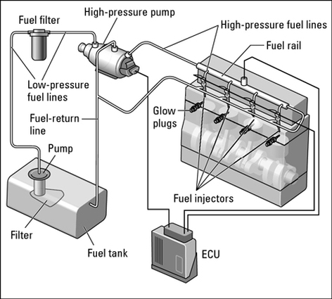 A common rail fuel injection system